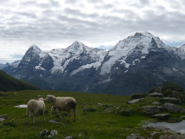 03_bern_alp.jpg