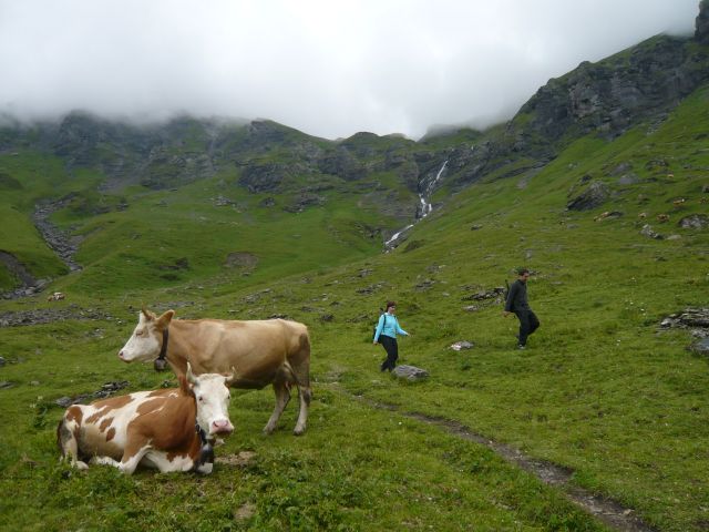 08_bern_alp.jpg