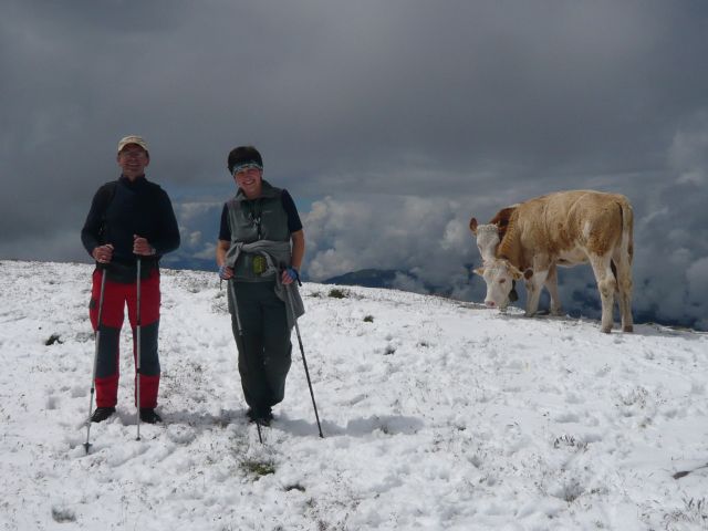 25_bern_alp.jpg