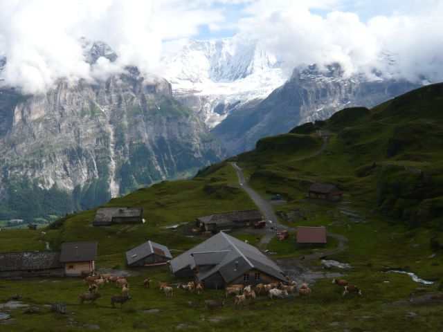 31_bern_alp.jpg