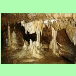 Sloupsko-šošůvské jeskyně 4