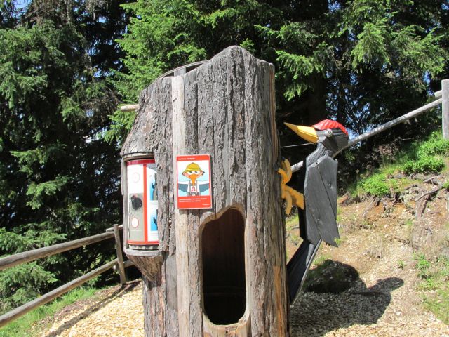 foto_alpy_08.jpg