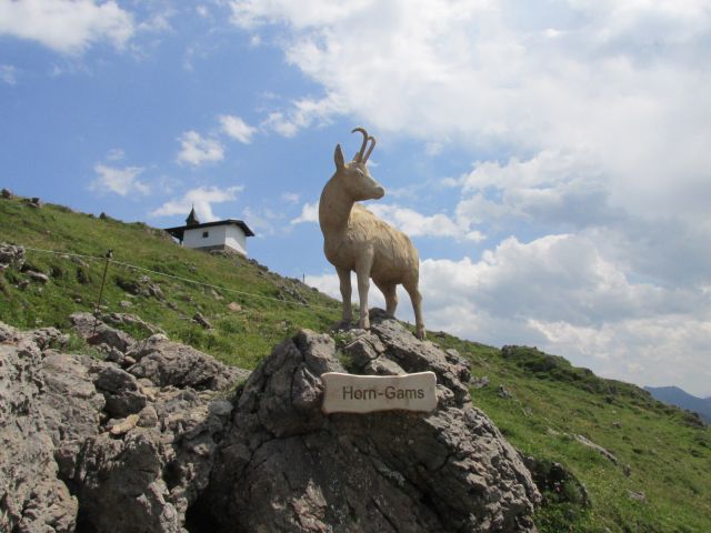 foto_alpy_47.jpg