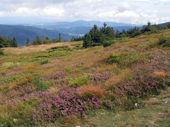 25_tatry.jpg